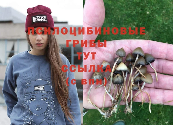 COCAINE Новокубанск