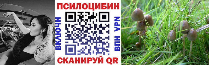 Галлюциногенные грибы Magic Shrooms  дарнет шоп  OMG   Покачи 